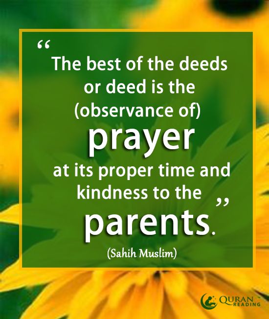 La gentillesse envers les parents La gentillesse envers les parents