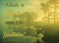 Allah aime la douceur en toutes choses
