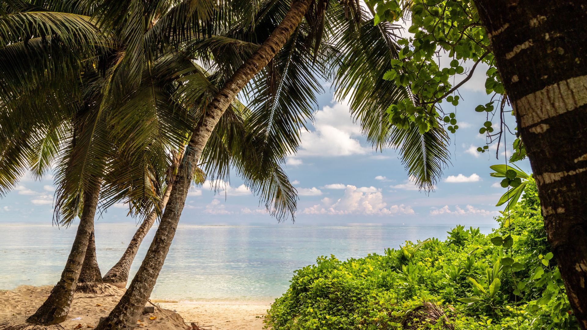 Voici comment le meilleur ami du prophète s'est converti à l'islam