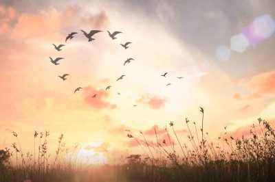 Espoir en période de difficulté