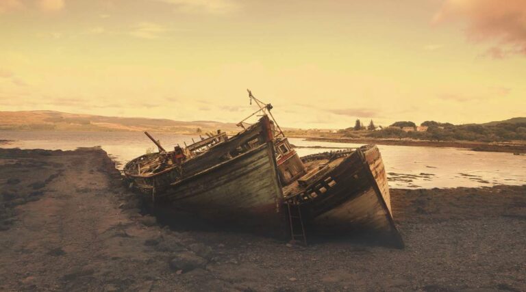 « Pourquoi les musulmans sont-ils si arriérés ? » Une jeunesse émerveillée