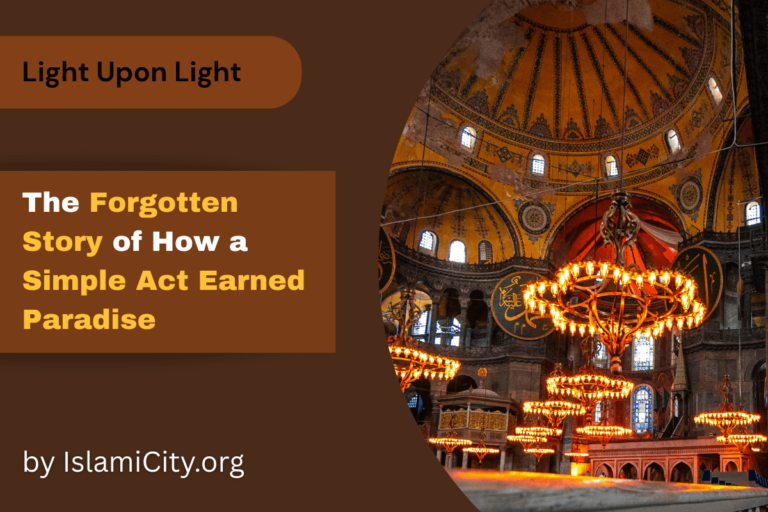Quel est le prix du paradis ? – Lumière sur lumière par IslamiCity – Épisode 34