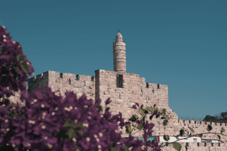 Le prophète David diffuse du streaming presque partout