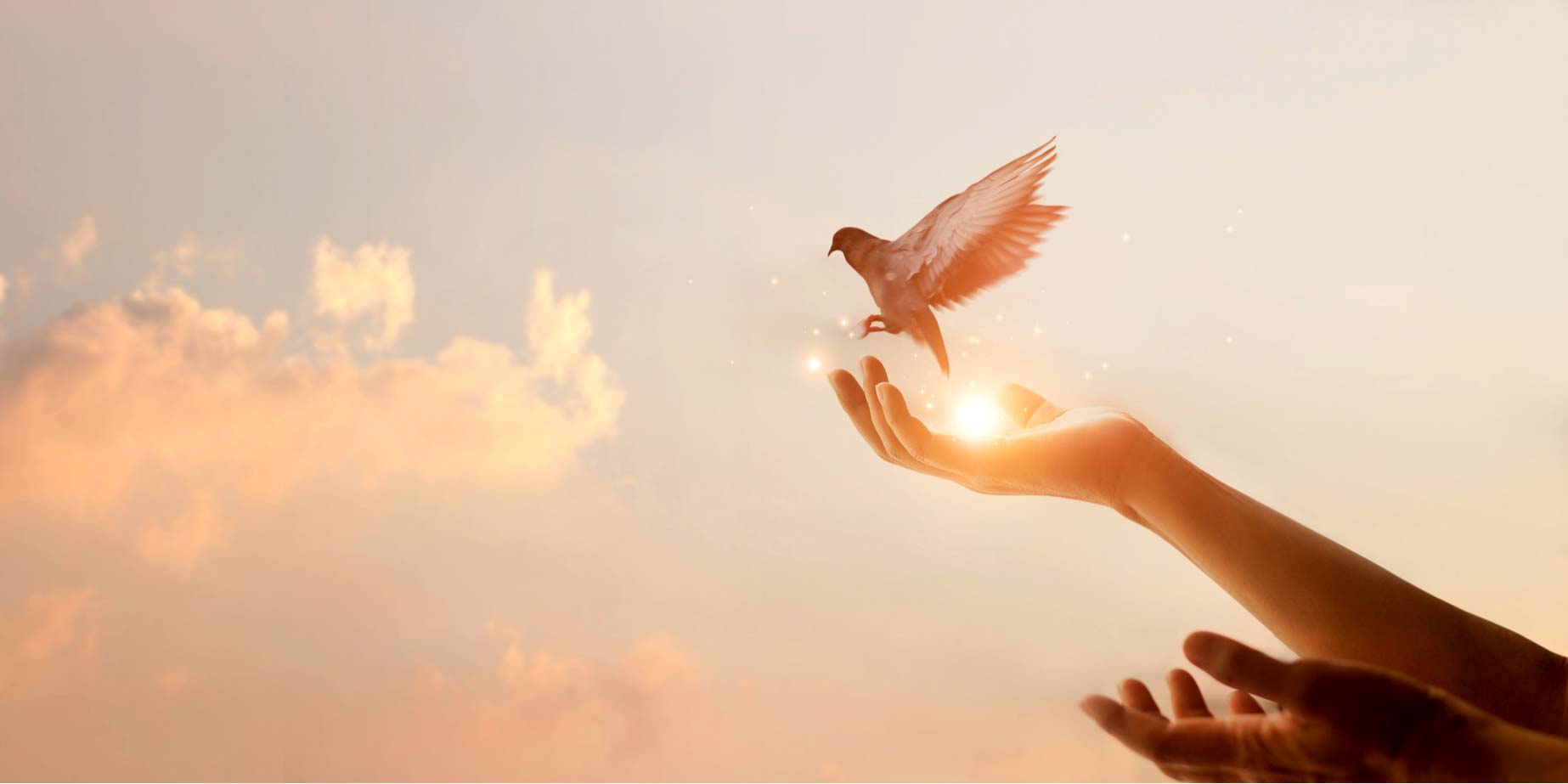 Votre intention compte : qu’aimeriez-vous gagner ?