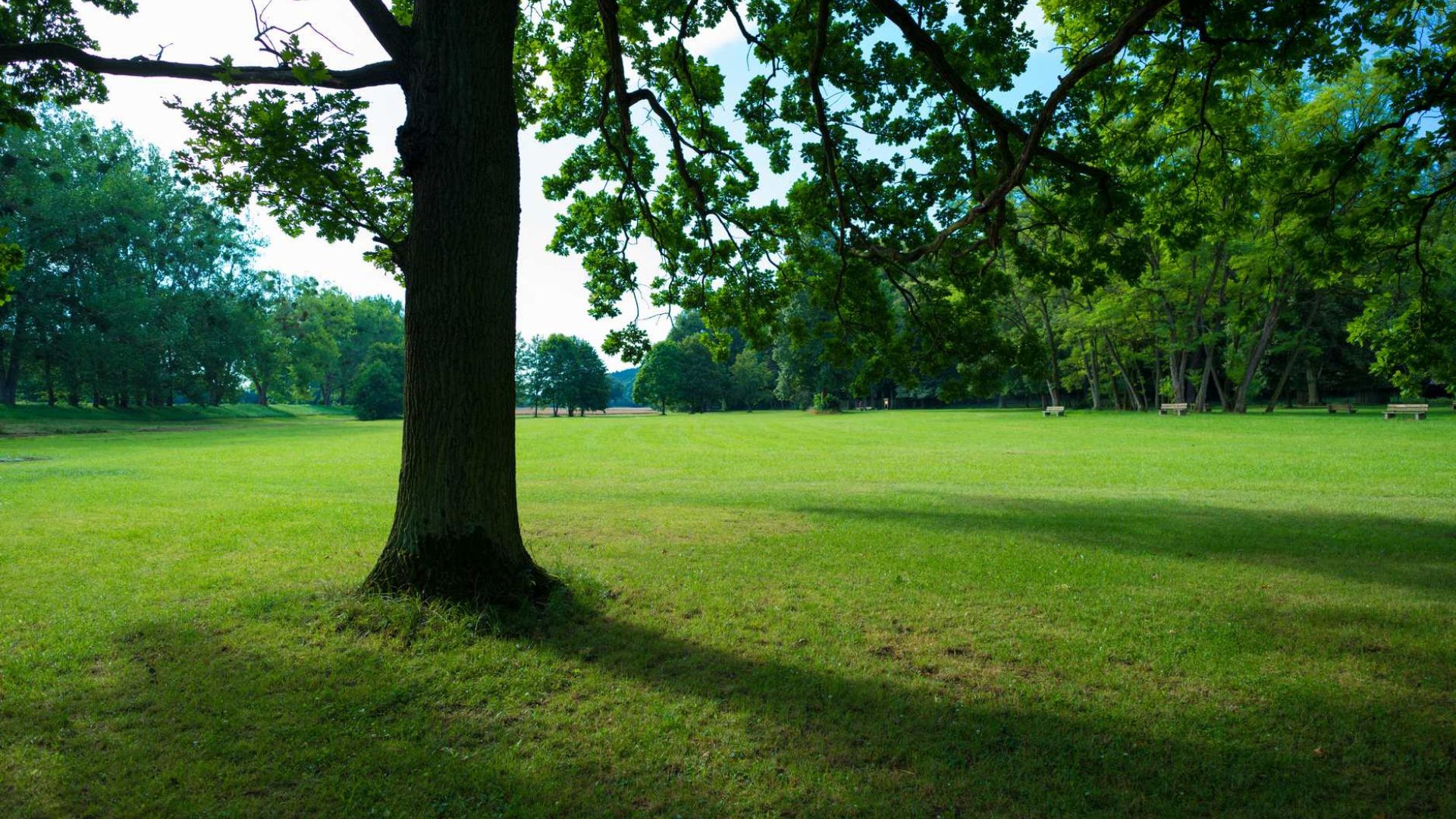 7 Êtes-vous en sécurité le Jour du Jugement - Êtes-vous l'un d'entre eux ?