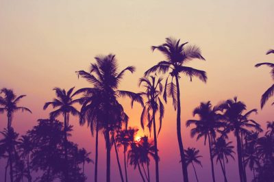 Histoires des prophètes : Patience exemplaire du Prophète Ayub (PSL)