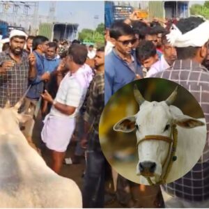 Karnataka : les agriculteurs protestent après que les musulmans boycottent l'abattage des vaches à Hassan