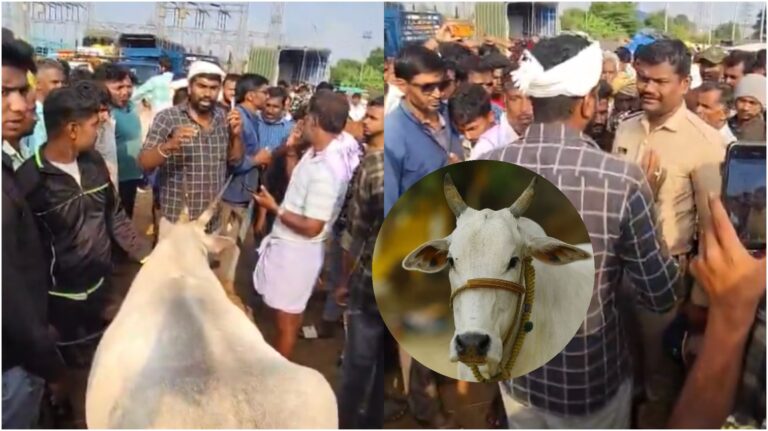 Karnataka : les agriculteurs protestent après que les musulmans boycottent l'abattage des vaches à Hassan
