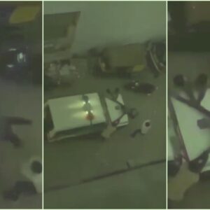 « Oh Allah, sauve-moi » : la police du Gujarat a brutalement battu un musulman avec des bâtons pour « abattage de vaches »