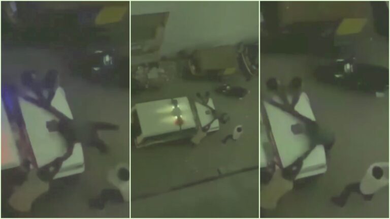 « Oh Allah, sauve-moi » : la police du Gujarat a brutalement battu un musulman avec des bâtons pour « abattage de vaches »