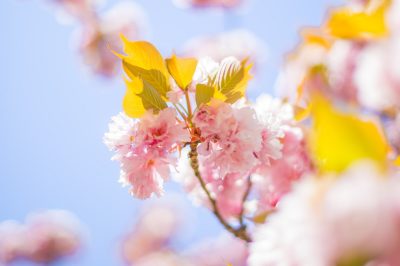 Vous avez du mal à garder espoir ? Lisez ceci Vous avez du mal à garder espoir ? Lisez ceci