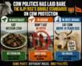 La politique des vaches a mis à nu les doubles standards du BJP/RSS en matière de protection des vaches