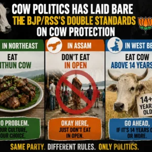 La politique des vaches a mis à nu les doubles standards du BJP/RSS en matière de protection des vaches