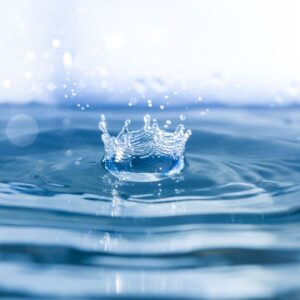 Gouttes de foi : l'eau dans l'Islam