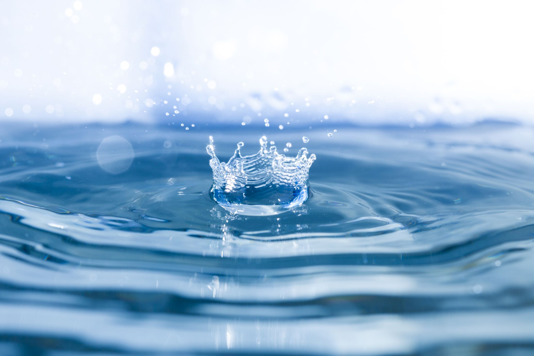 Gouttes de foi : l'eau dans l'Islam