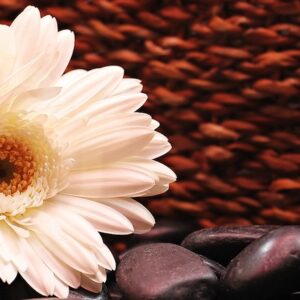Histoire de la nourrice du Prophète – Haleemah As-Sa'diyyah