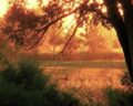 Une histoire vraie de repentance (regarder)