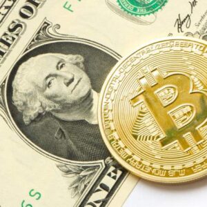 Le Bitcoin est-il Halal ou Haram ? Une perspective islamique