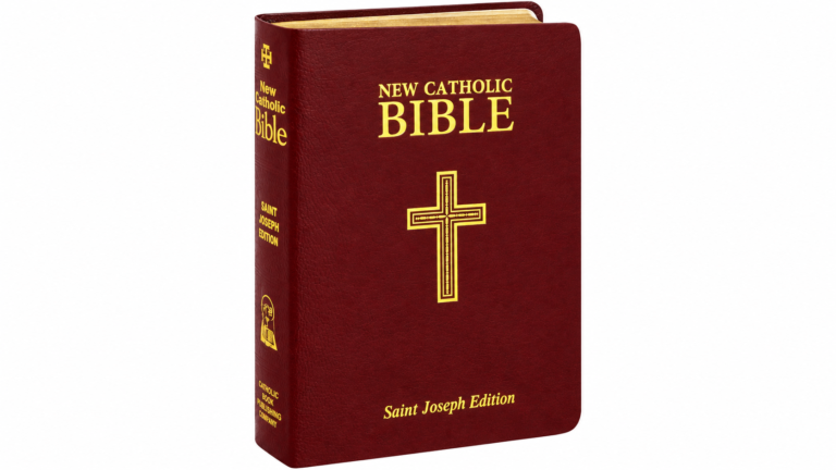 Les évêques catholiques appellent à l'action après l'attaque contre une convention biblique au Bengale occidental